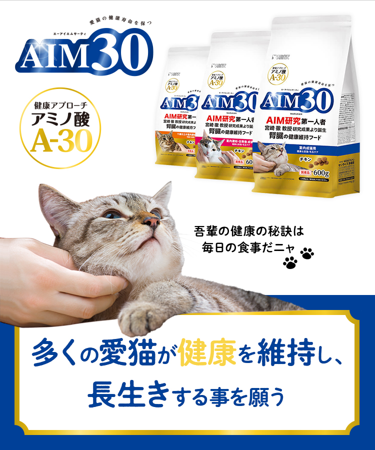 AIM30 特設サイト