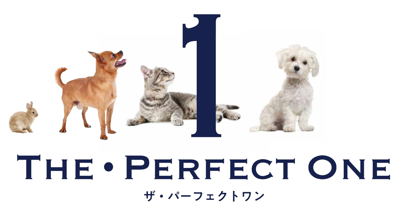 THE・PERFECT ONE 特設サイト