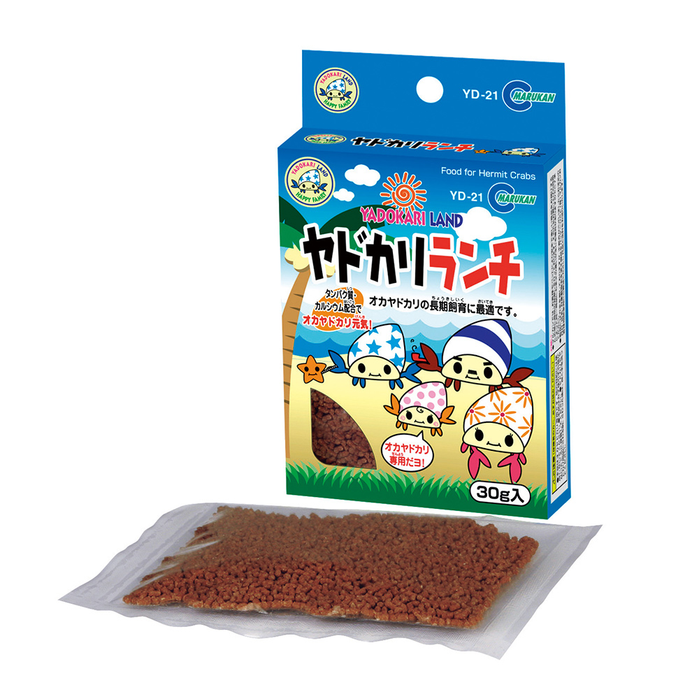 ヤドカリランチ