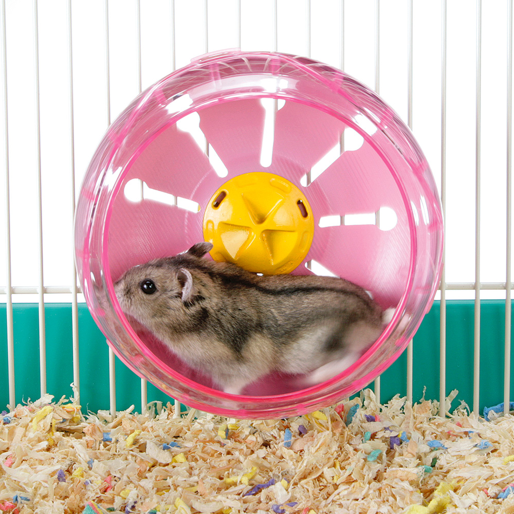 くるくるフラワープチ