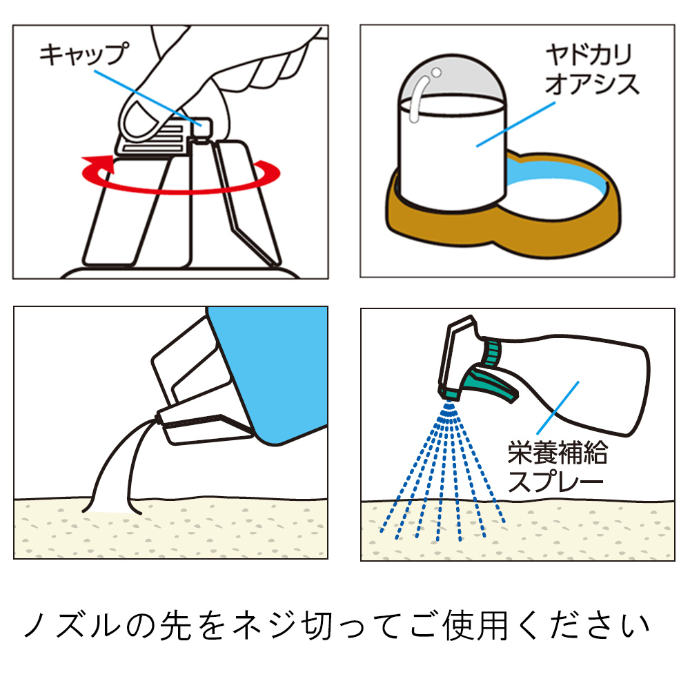 ヤドカリココナッツウォーター