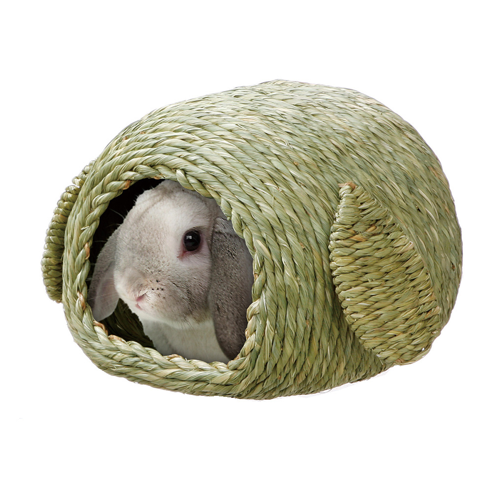 チモシーのおうち(大)
