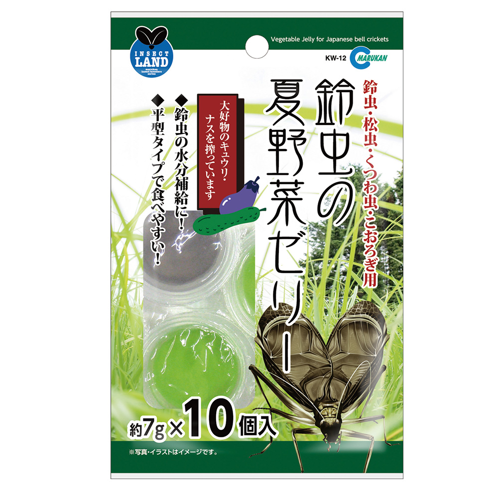 鈴虫の夏野菜ゼリー