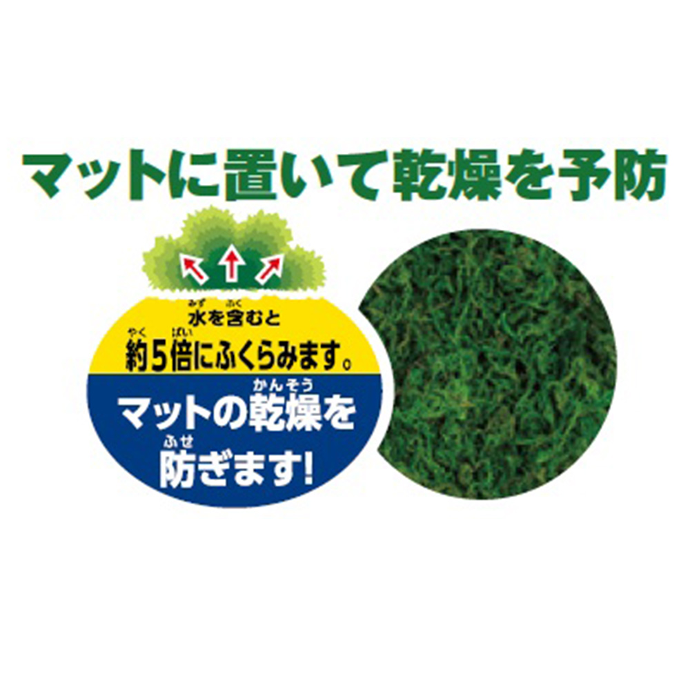 鈴虫の緑のオアシス