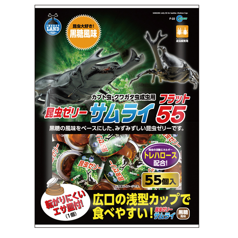 サムライ フラット55