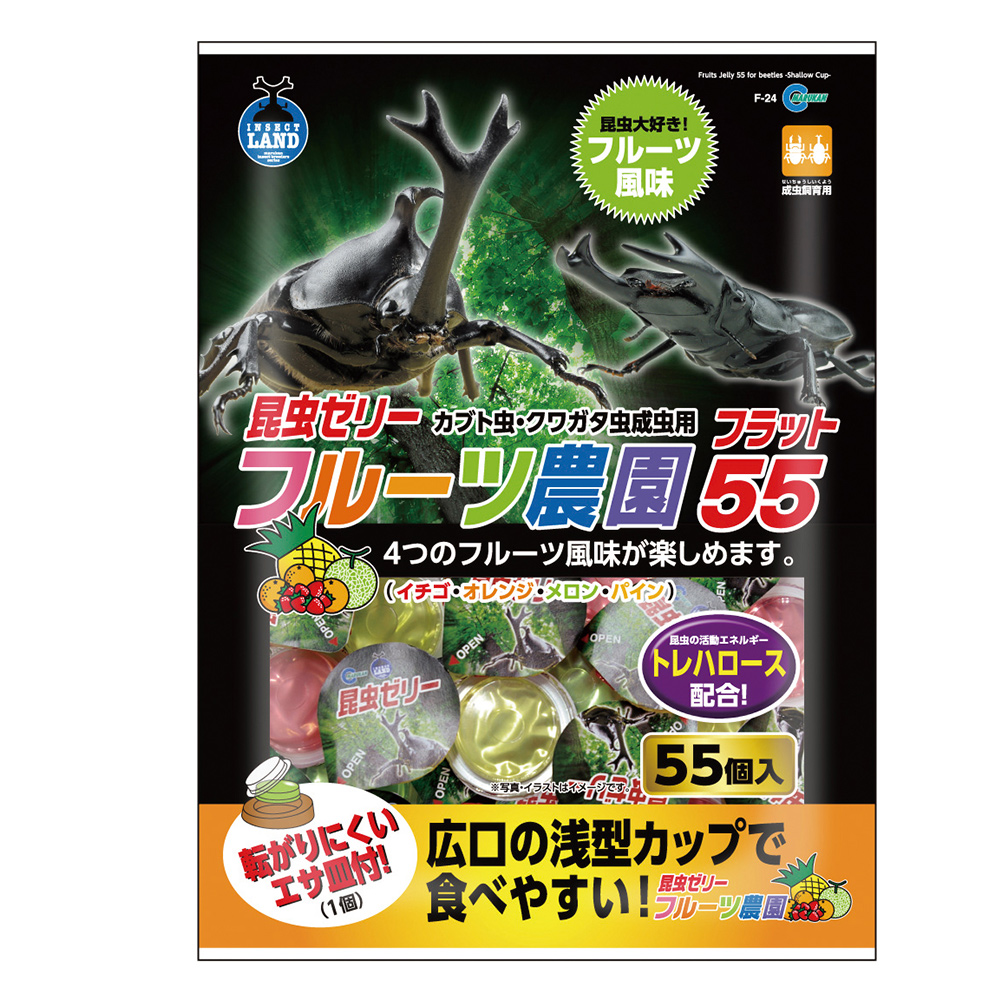 フルーツ農園 フラット55