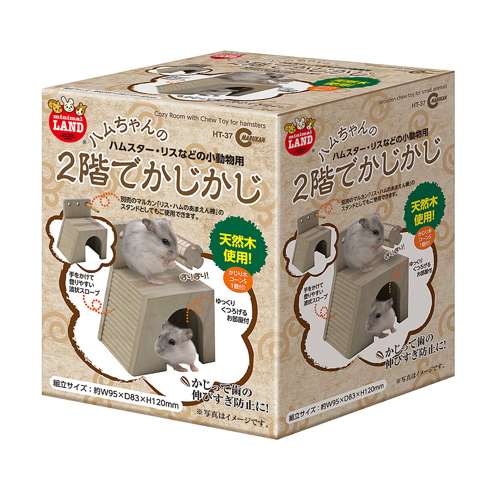 2階でかじかじ