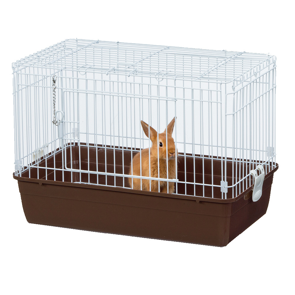 うさぎが上手に飼える<br>リビングルーム Ｍ