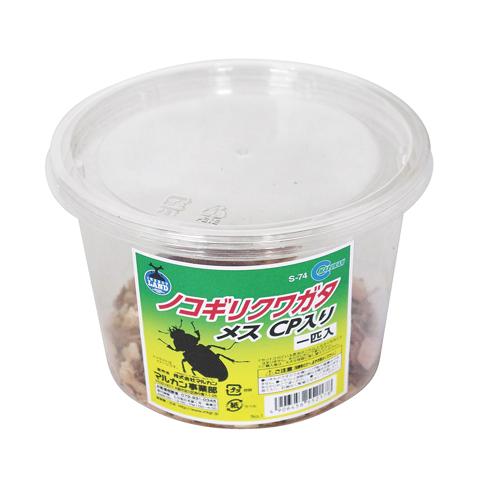 ノコギリクワガタ<br>成虫メスＣＰ入