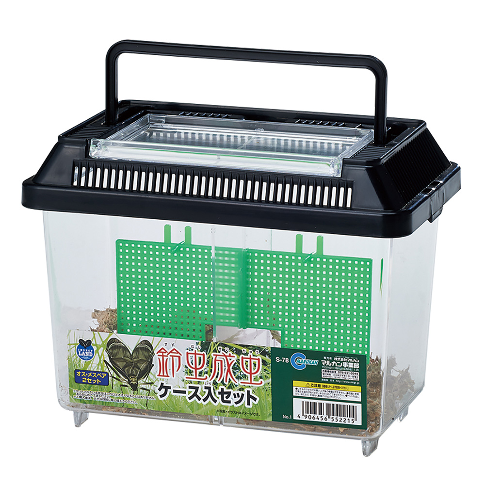 鈴虫成虫ケース入セット