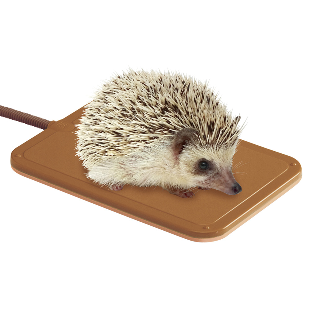 ハリネズミのリバーシブルヒーター