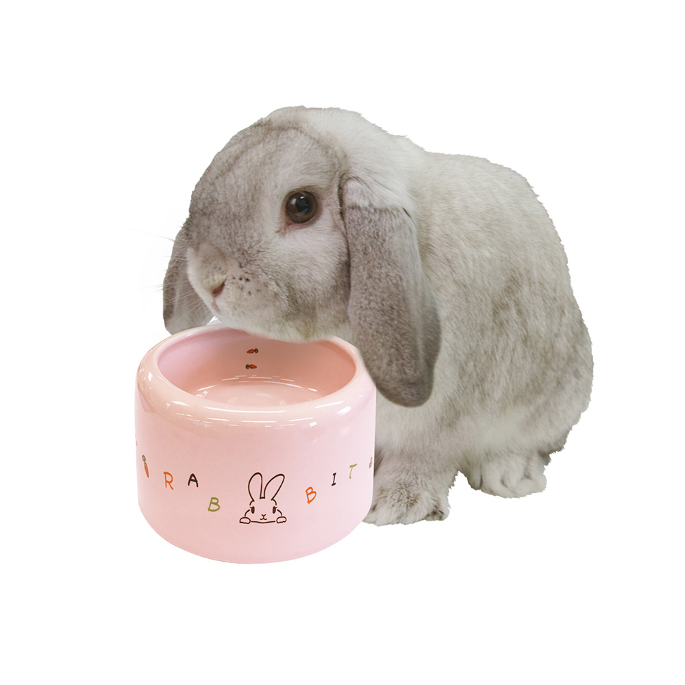 うさちゃんのらくらくお食事ディッシュ