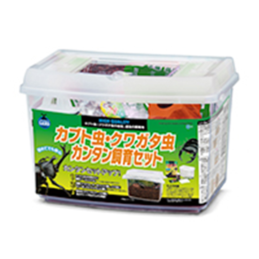 カブトムシクワガタ虫<br>カンタン飼育セット