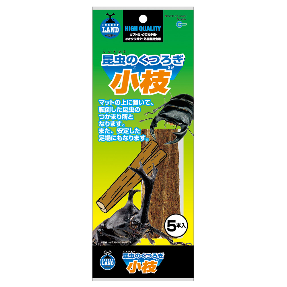 昆虫のくつろぎ小枝