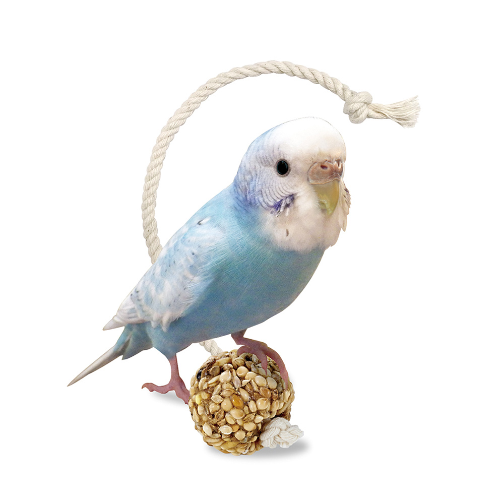 インコのシリアルボール S