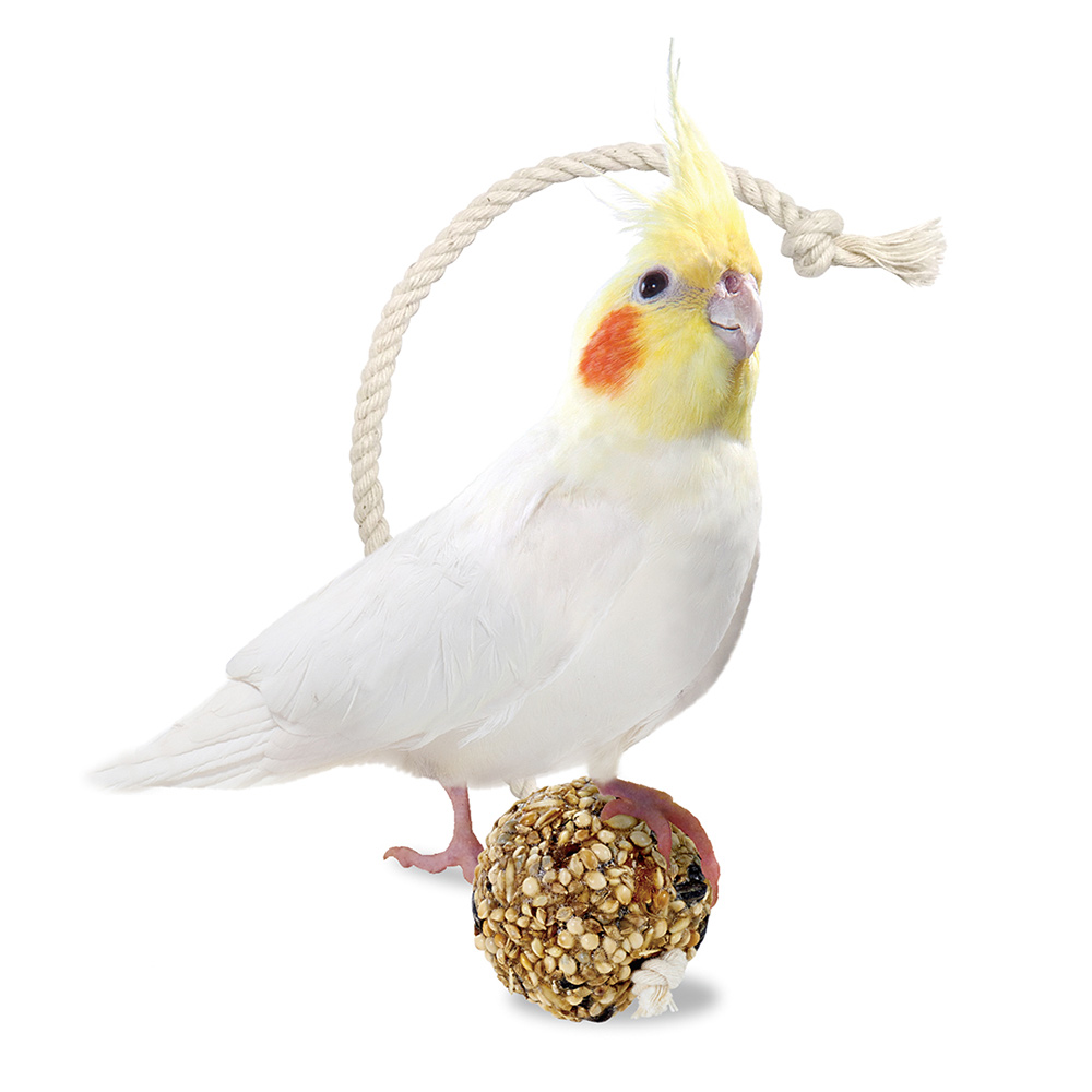 インコのシリアルボール M