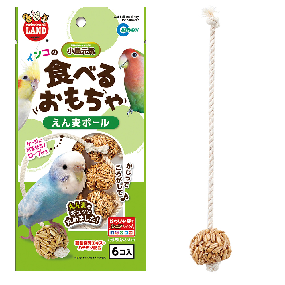 インコのえん麦ボール