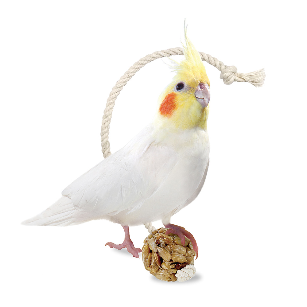 インコのひまわりボール