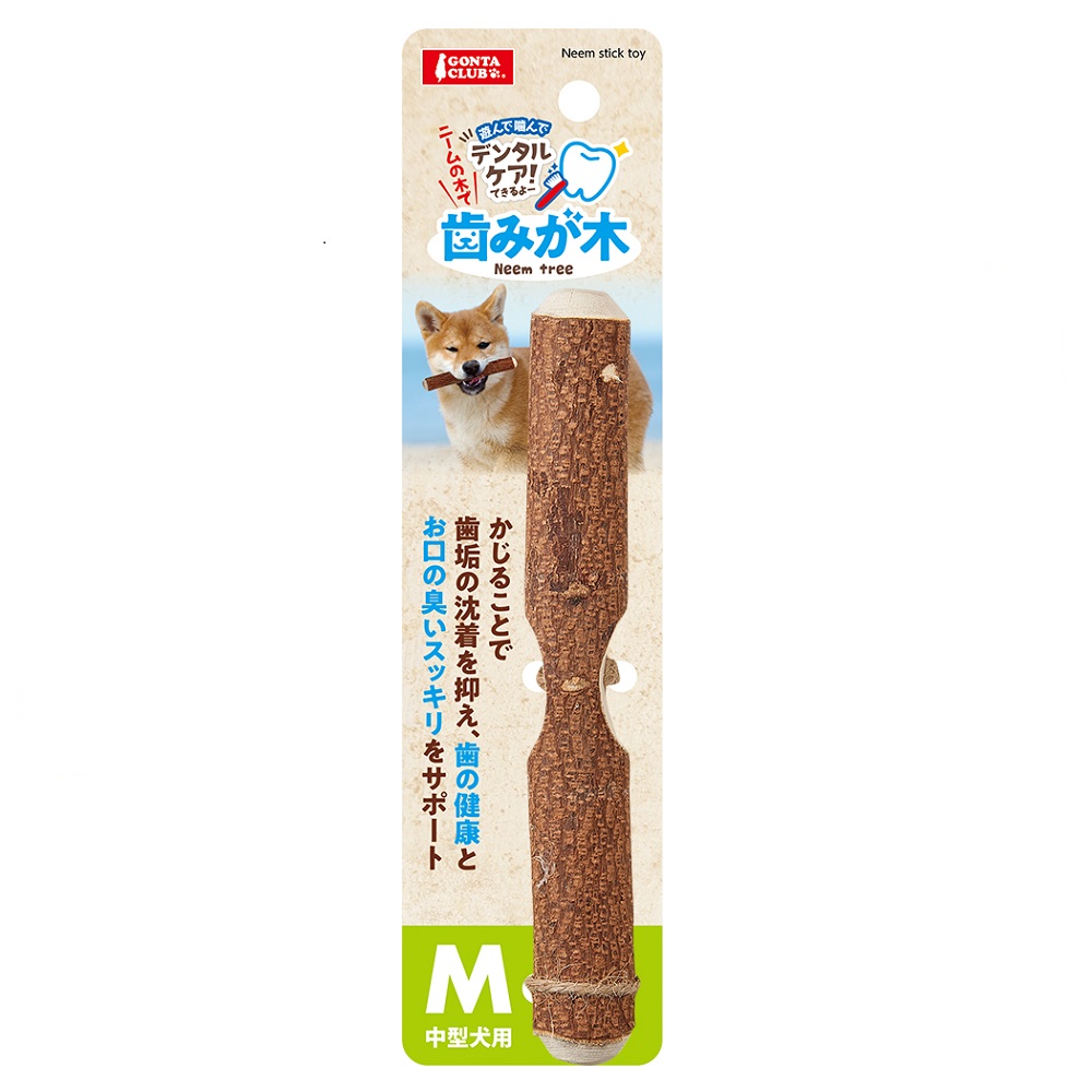 歯みが木Ｍ