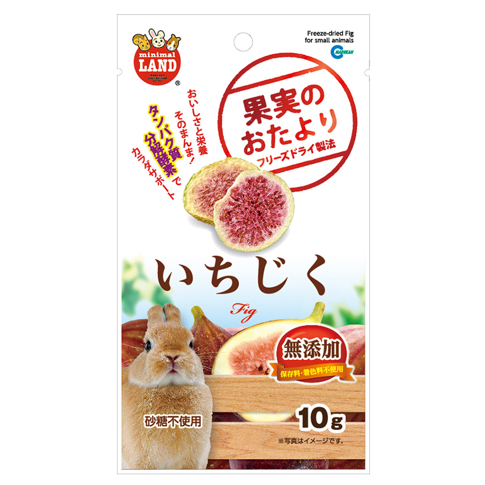 果実のおたより いちじく