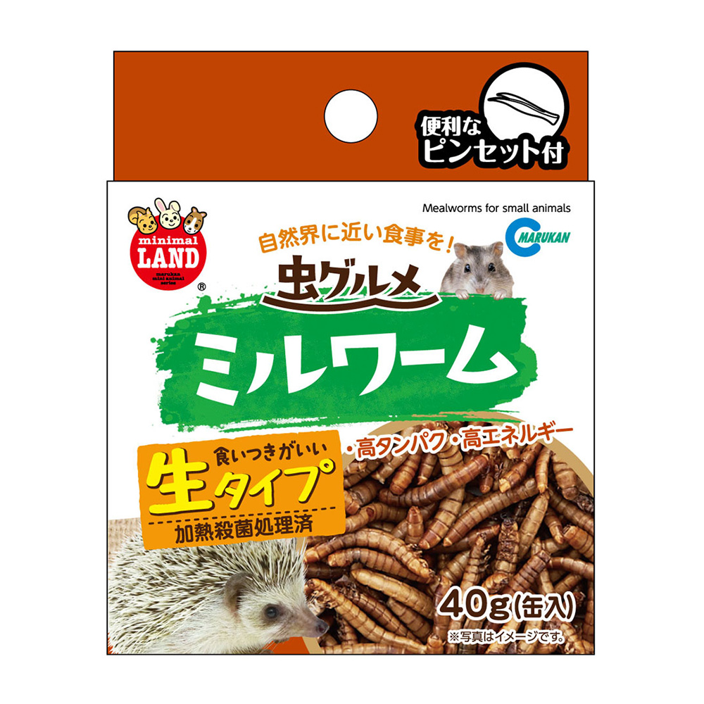 虫グルメ<br>ミルワーム