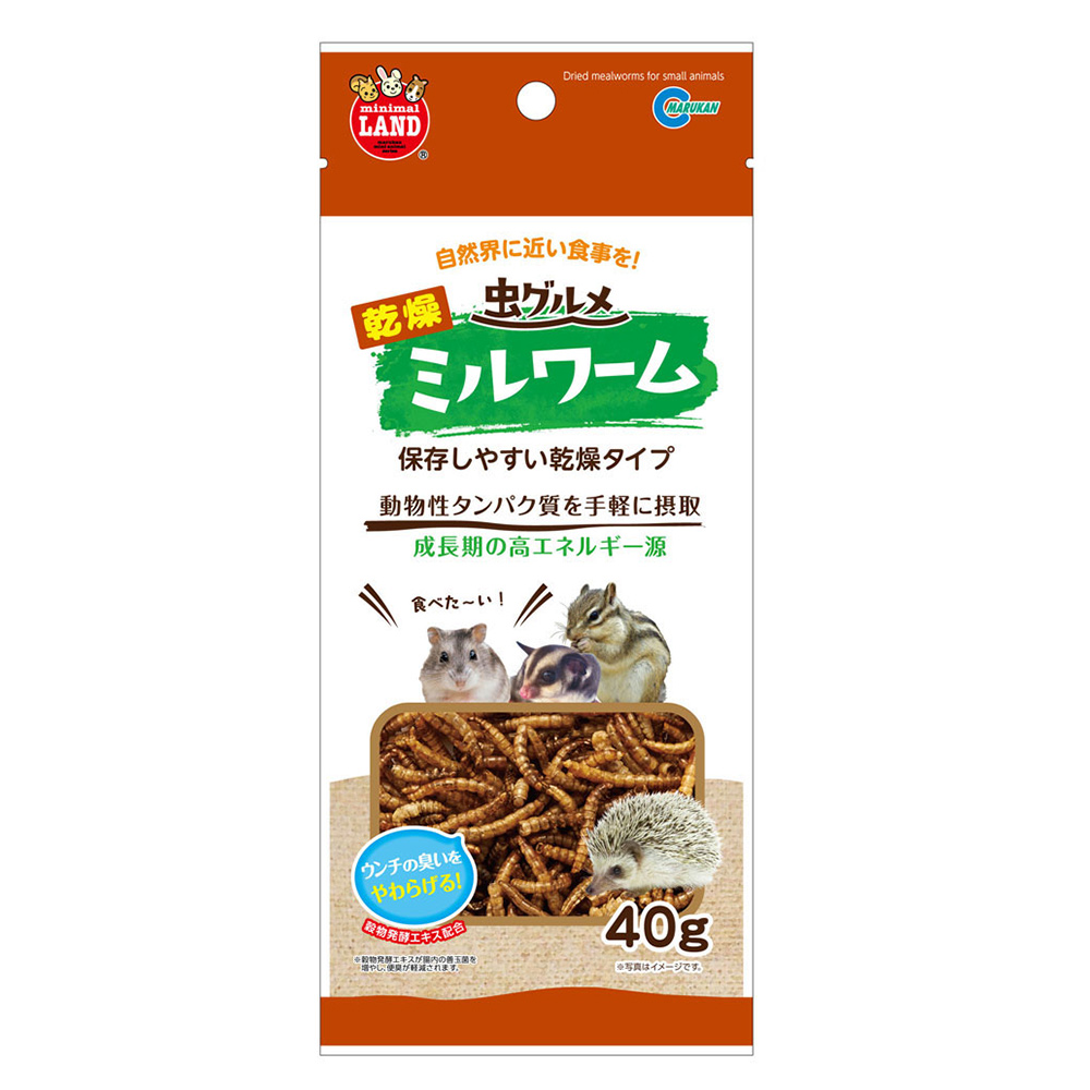 虫グルメ<br>乾燥ミルワーム