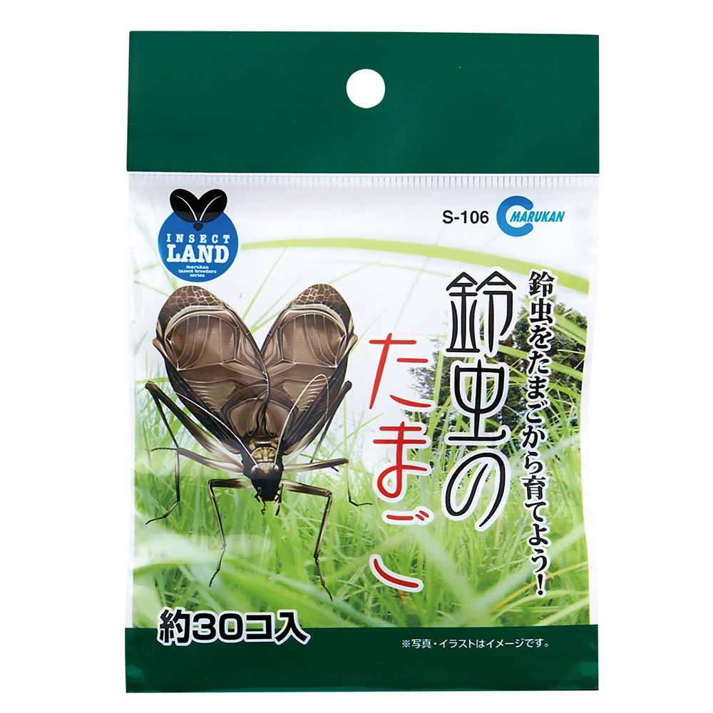 鈴虫のたまご30個 スタンドパック入