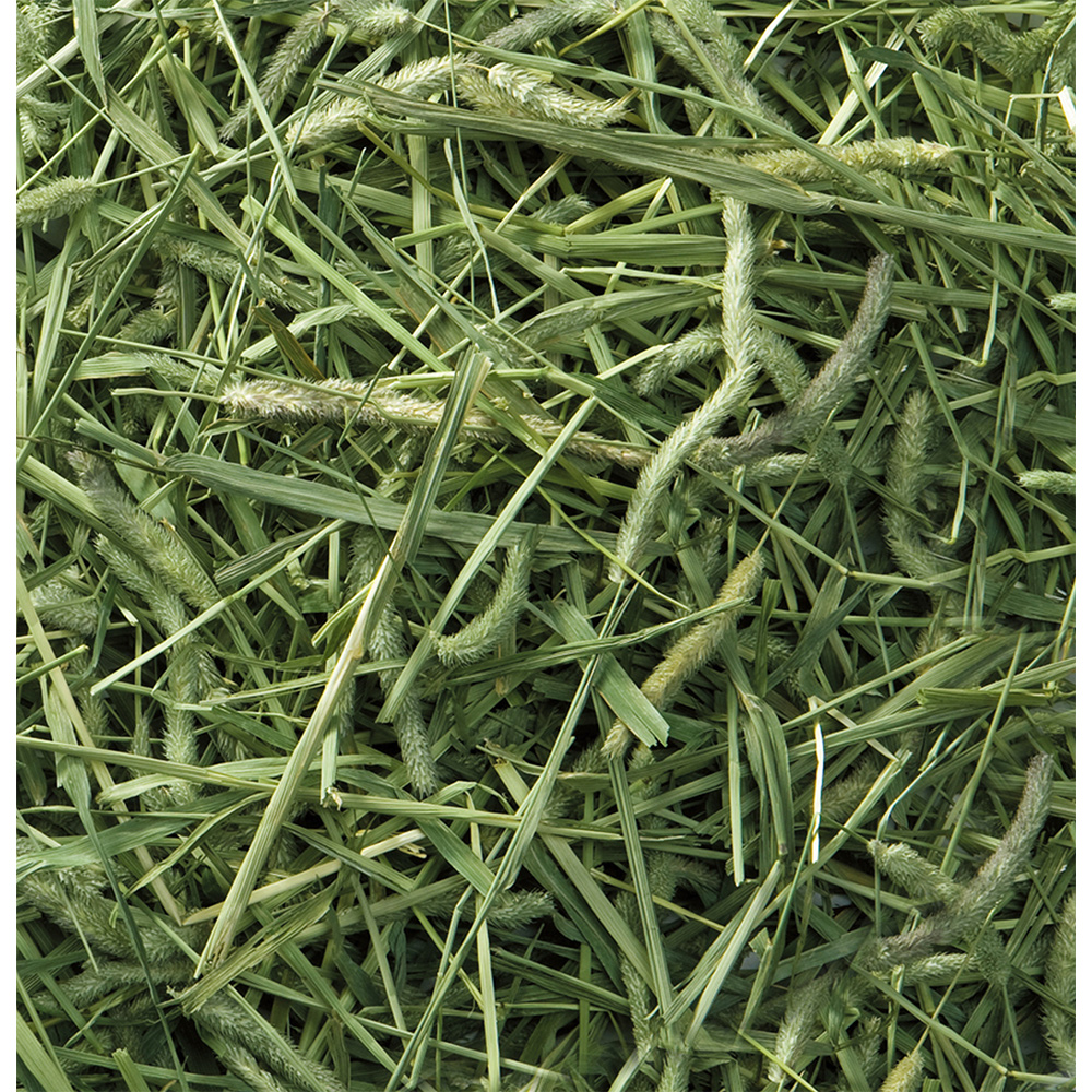 バニーグレードチモシー 550g