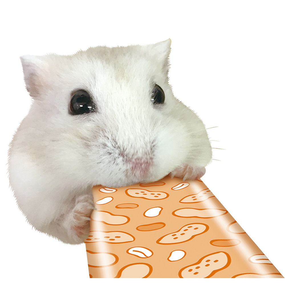 はむはむぴゅーれ ピーナッツ風味