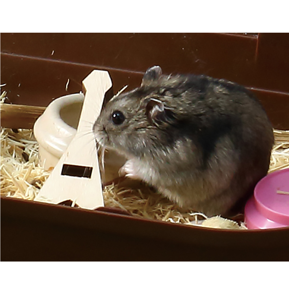 かじりギター! エレ木