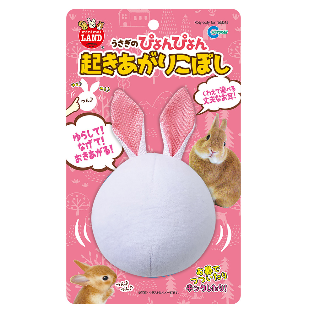 うさぎのぴょんぴょん<br>起きあがりこぼし