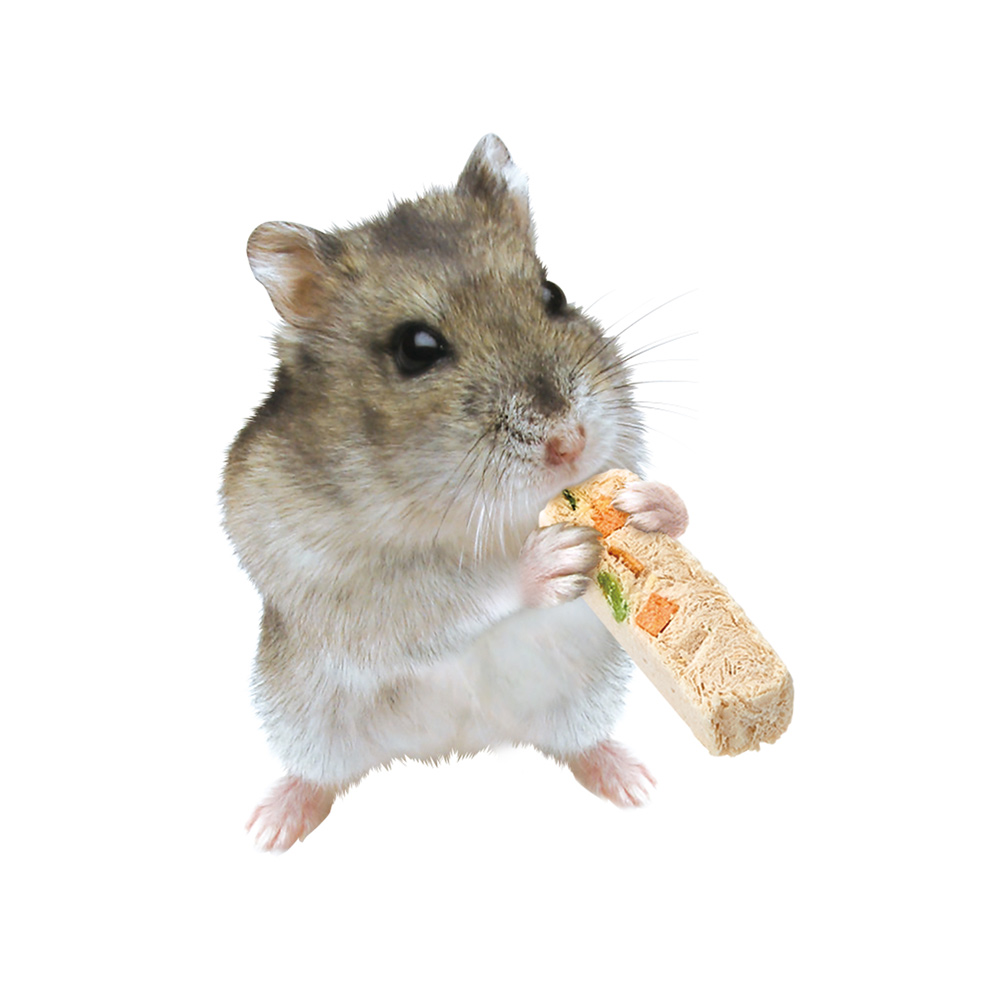 お豆腐スティック<br> ベジタブル入り