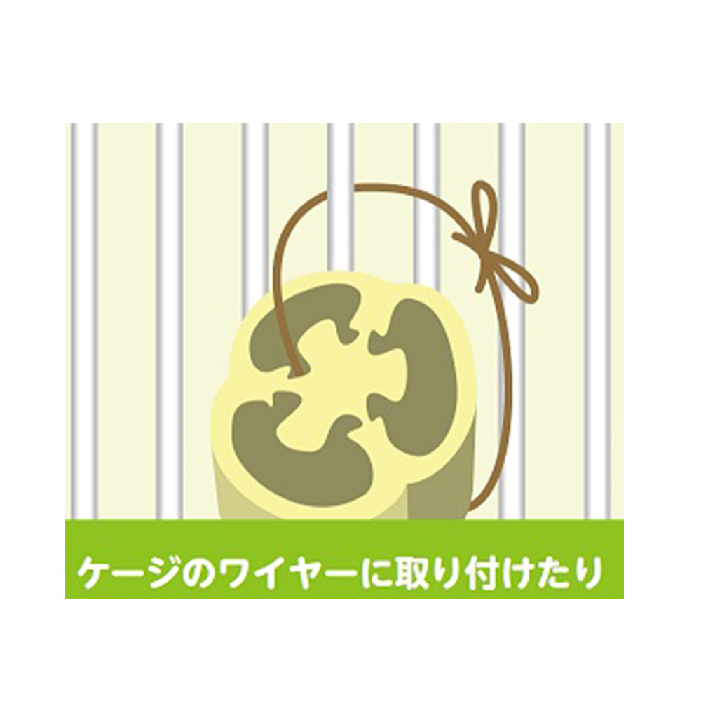 遊んで! へち祭り<br>ショートタイプ