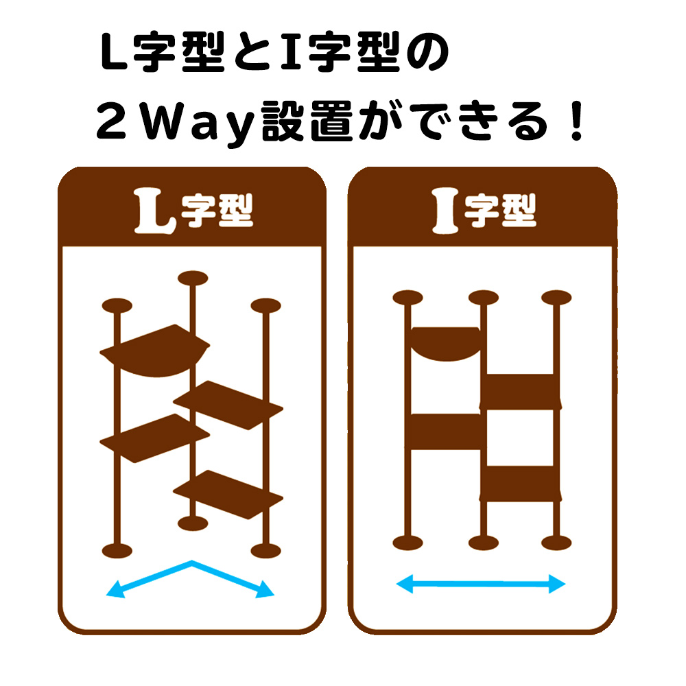 キティウォーク