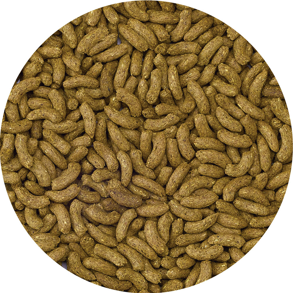 ラビットレシピ シニア 1kg