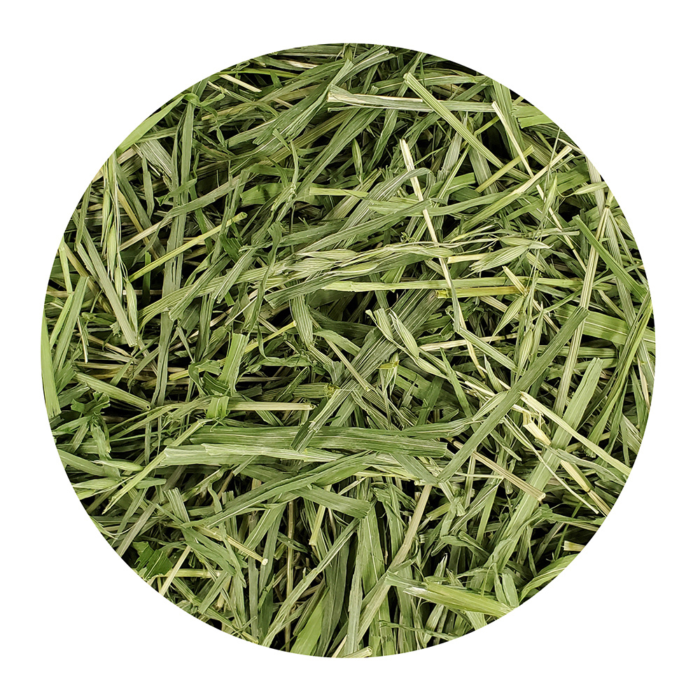 特選牧草 えん麦 140g