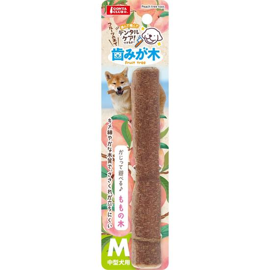 歯みが木ももの木M