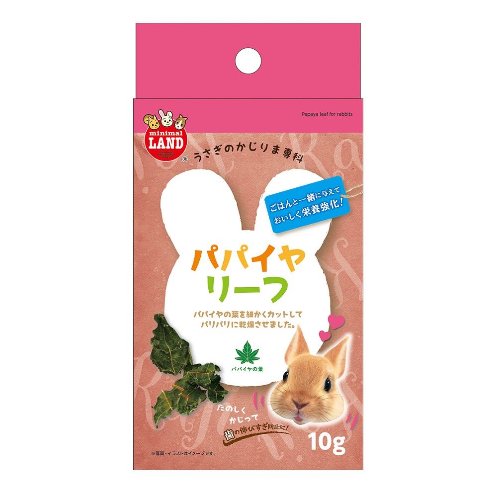 かじりま専科<br>パパイヤリーフ