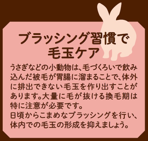 ミニマルサロン<br> ブラッシングスプレー