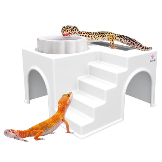 ジオハウス