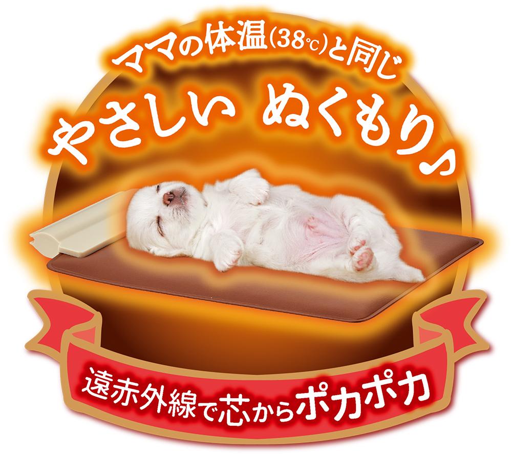 遠赤外線<br>やわらかホッとヒーターL