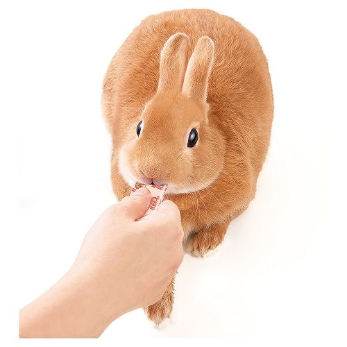 快腸ぐらし うさぎのぴゅーれ<br>チモシー＆りんご