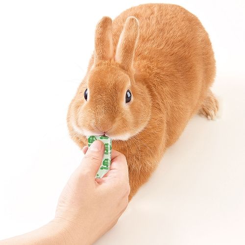 快腸ぐらし うさぎのぴゅーれ<br>チモシー＆ブロッコリー入り