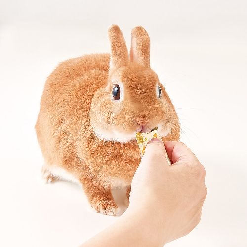 快腸ぐらし うさぎのぴゅーれ<br>チモシー＆パイン