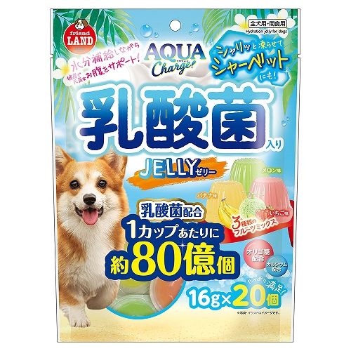 アクアチャージ<br>乳酸菌入りゼリー