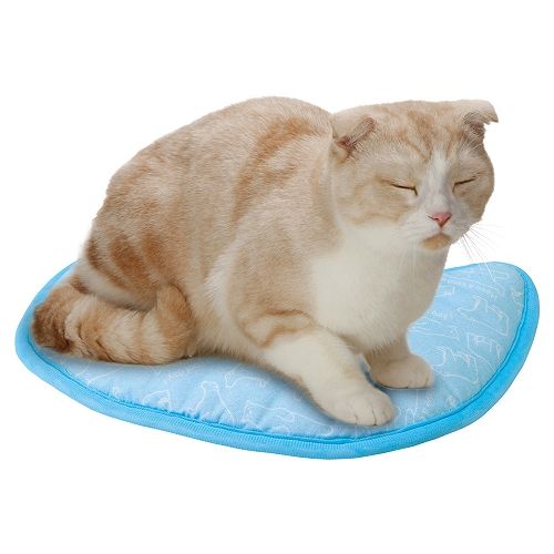 白クマさんの接触冷感<br>もみふみマット猫用