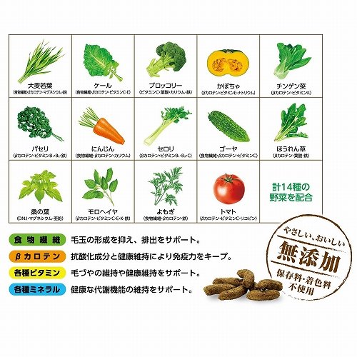 うさぎの毎日野菜14種<br>メンテナンス