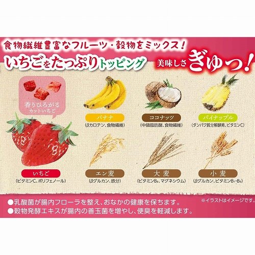 いちご好きのための<br>フルーツいっぱいグラノーラ