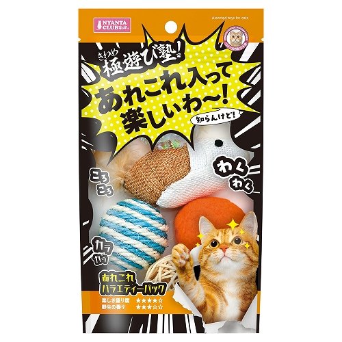 極遊び塾！<br>あれこれバラエティーパック