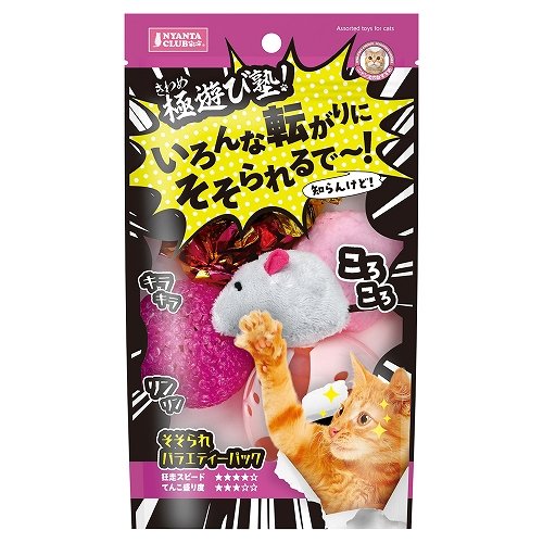 極遊び塾！<br>そそられバラエティーパック
